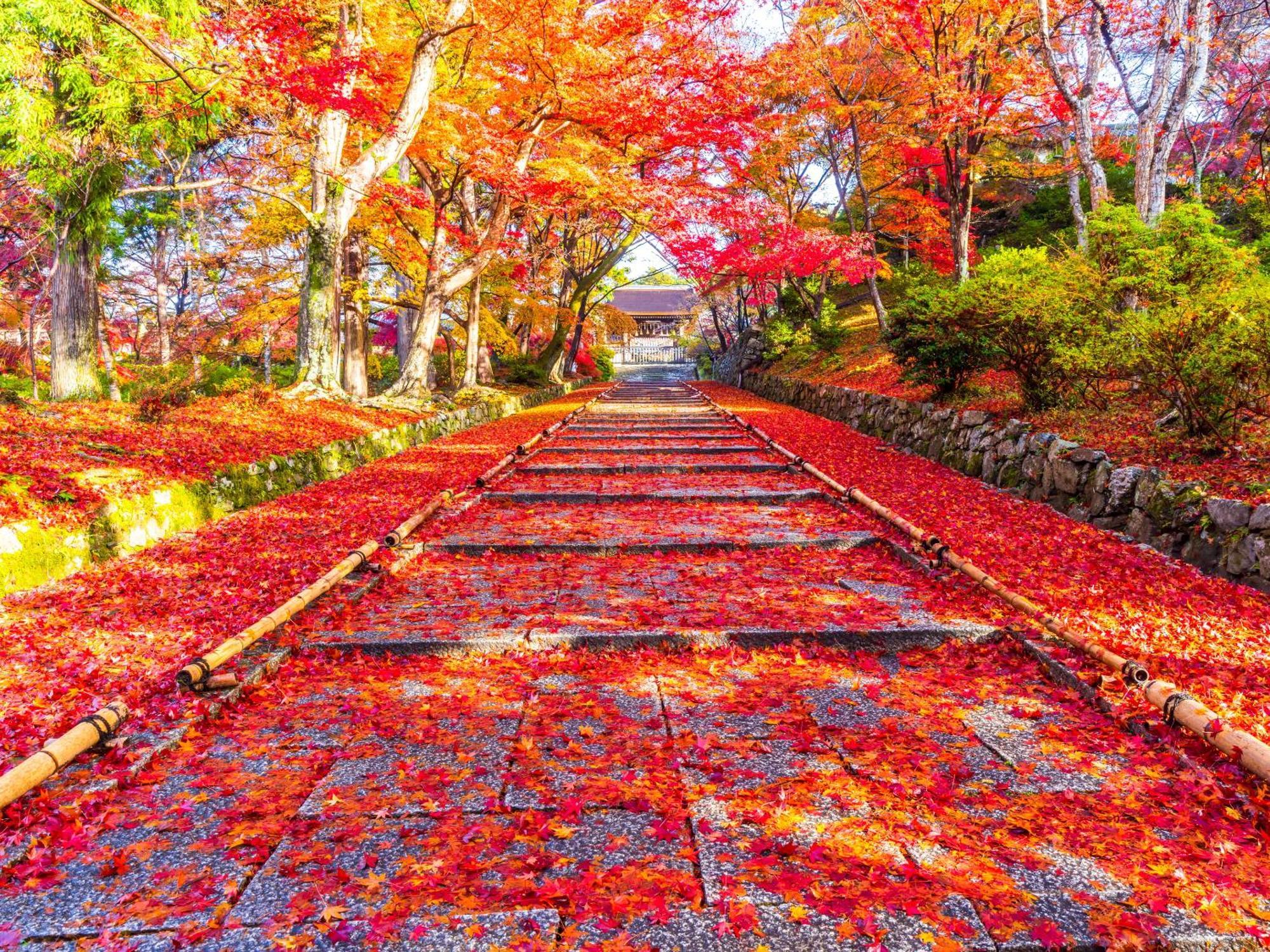 The Machiya Ebisuya Hotell Kyoto Eksteriør bilde